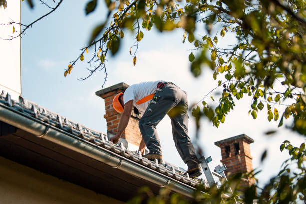 Professional Roofing Services in Kirkwood, MO